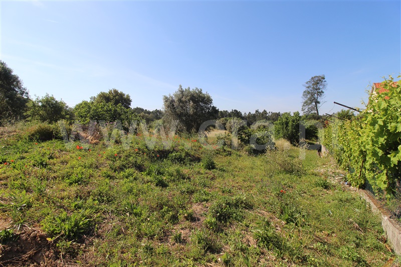 Terreno  Entroncamento, Nossa Senhora de Fátima - 1483733 - 5