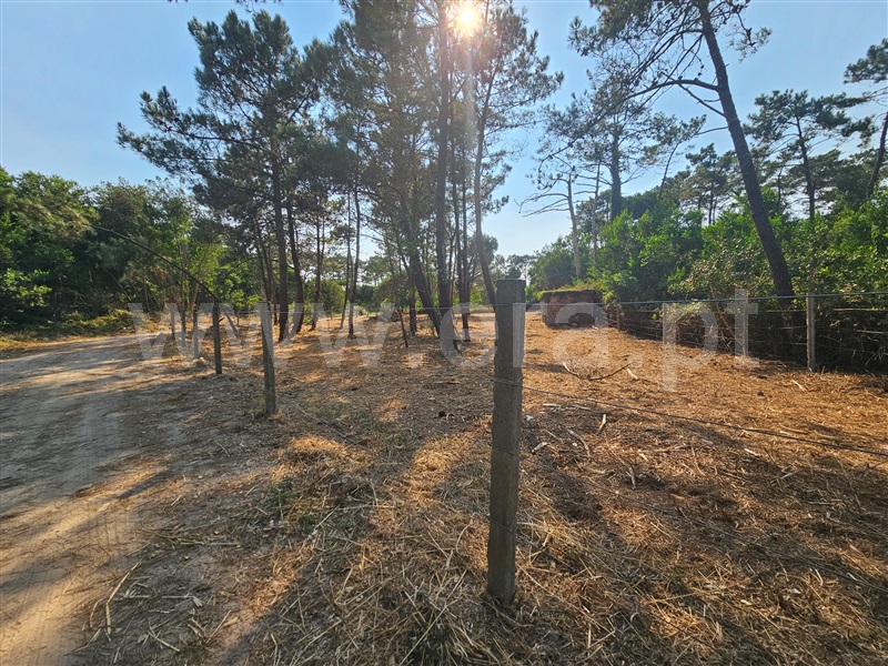 Terreno Rústico  com Agrícola Esposende, Belinho - 1493669 - 3