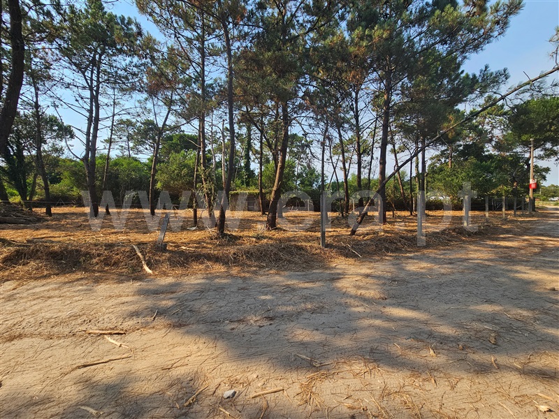 Terreno Rústico  com Agrícola Esposende, Belinho - 1493669 - 5