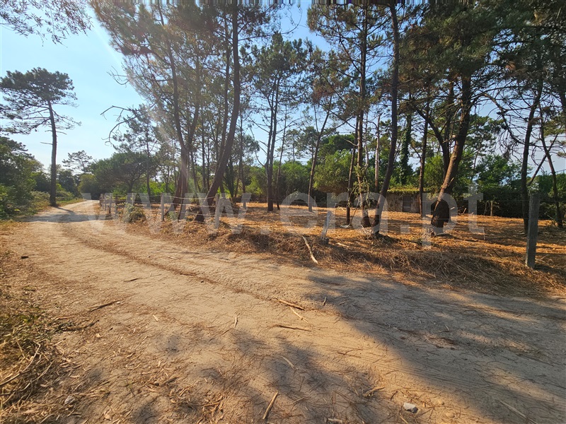 Terreno Rústico  com Agrícola Esposende, Belinho - 1493669 - 6