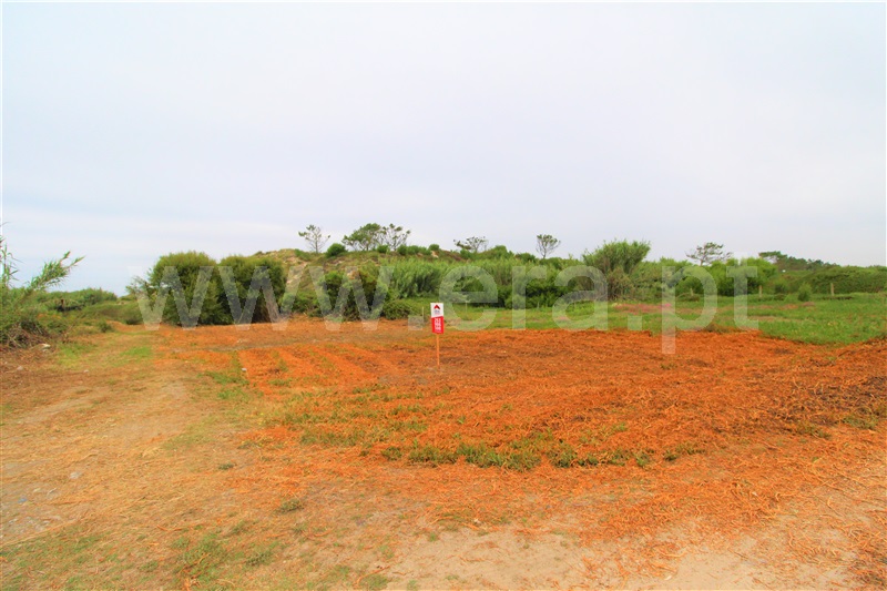 Terreno Rústico / Esposende, Belinho