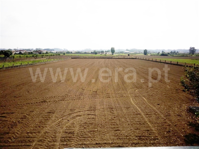 Terreno Rústico / Estarreja, Rego da Arada