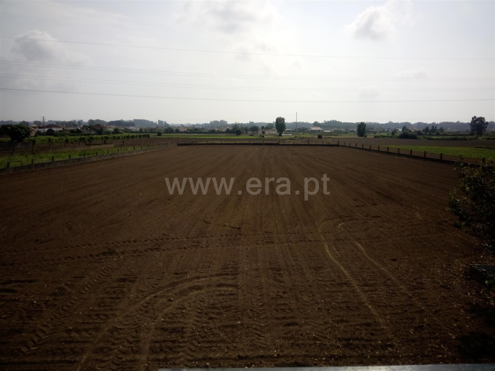 Land for sale in Estarreja, Portugal — €75,000