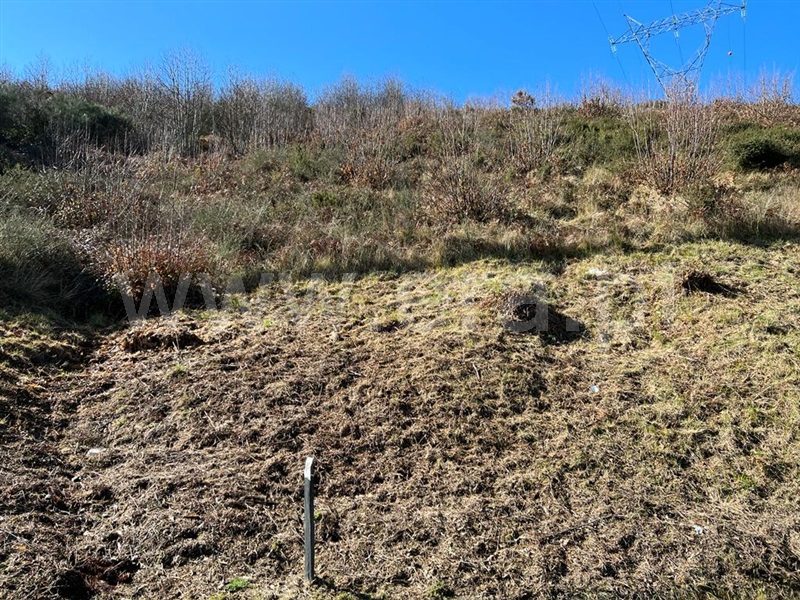 Terreno  Lamego, Avões - 1227053 - 6