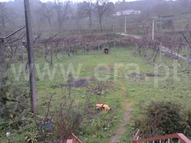 Terreno Rústico / Fafe, Agrela e Serafão