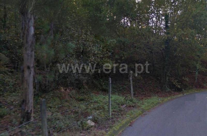 Terreno Rústico  Fafe, Cepães e Fareja - 835993 - 2