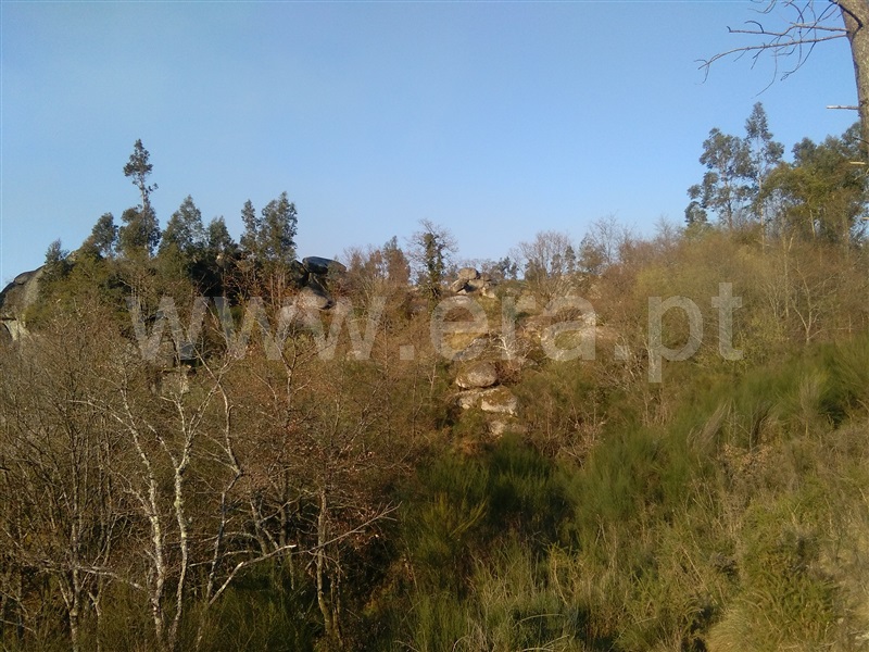 Terreno Rústico  Fafe, Freitas e Vila Cova - 999656 - 2