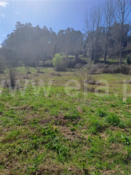 Terreno Rústico  Fafe, Passos - 1387799 - 4