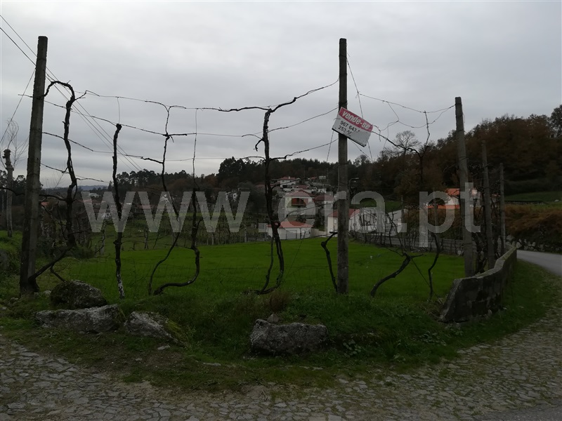 Terreno Rústico  Fafe, Ribeiros - 1139732 - 3