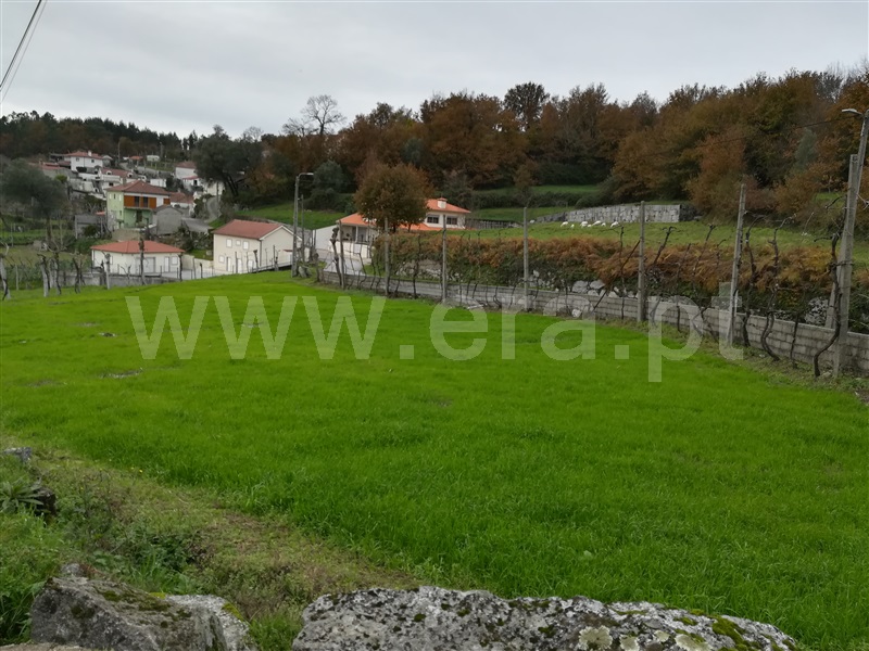 Terreno Rústico  Fafe, Ribeiros - 1139732 - 5