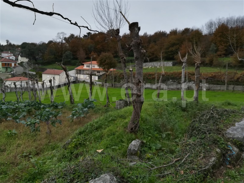 Terreno Rústico  Fafe, Ribeiros - 1139732 - 4