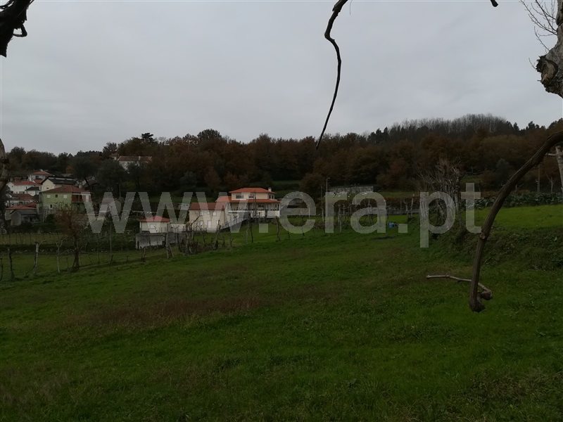 Terreno Rústico  Fafe, Ribeiros - 1139732 - 6