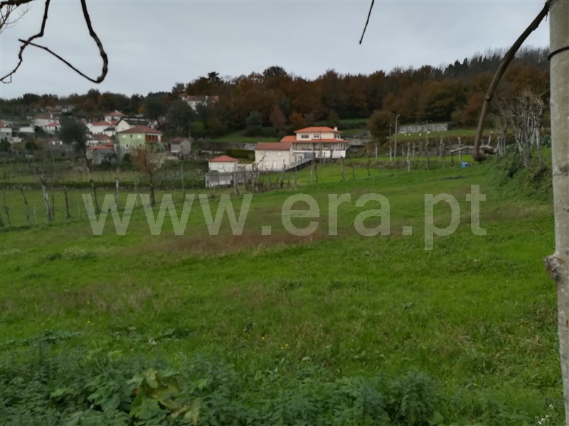 Terreno Rústico  Fafe, Ribeiros - 1139732 - 7