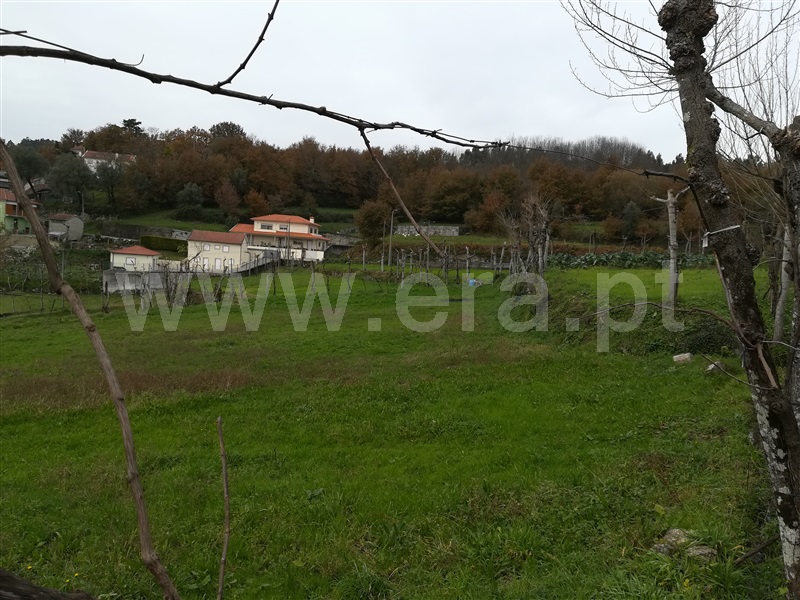 Terreno Rústico  Fafe, Ribeiros - 1139732 - 8