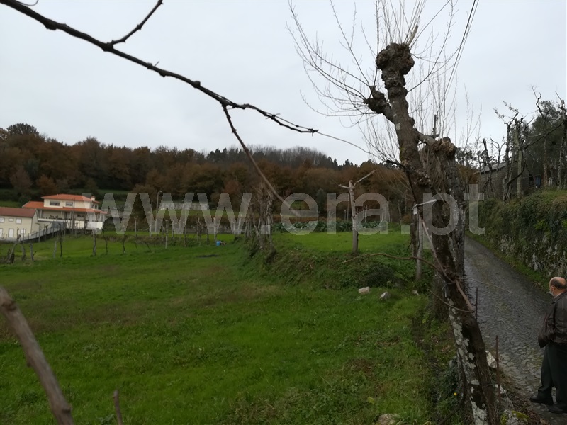 Terreno Rústico  Fafe, Ribeiros - 1139732 - 9