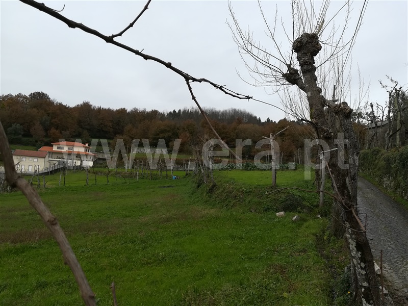 Terreno Rústico  Fafe, Ribeiros - 1139732 - 10