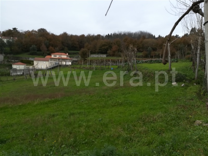 Terreno Rústico  Fafe, Ribeiros - 1139732 - 11