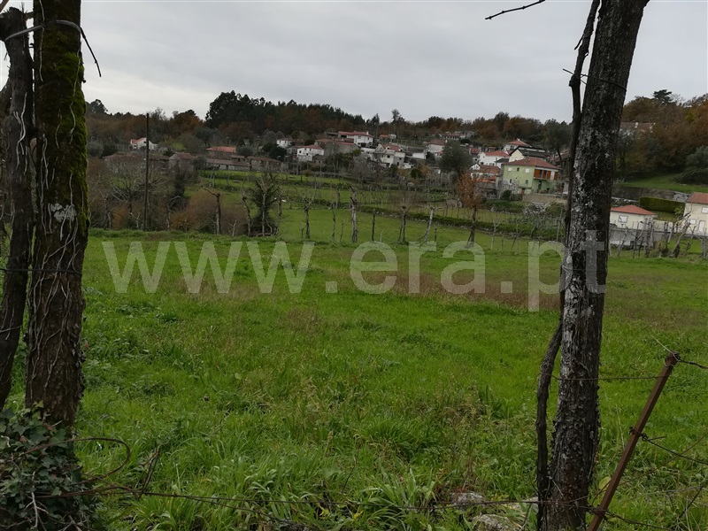 Terreno Rústico  Fafe, Ribeiros - 1139732 - 12