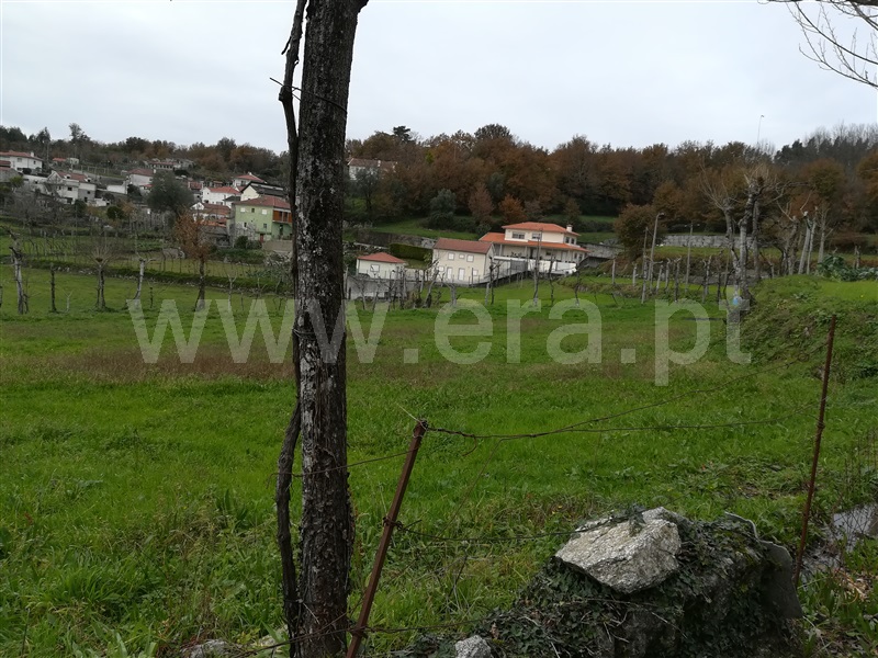 Terreno Rústico  Fafe, Ribeiros - 1139732 - 13