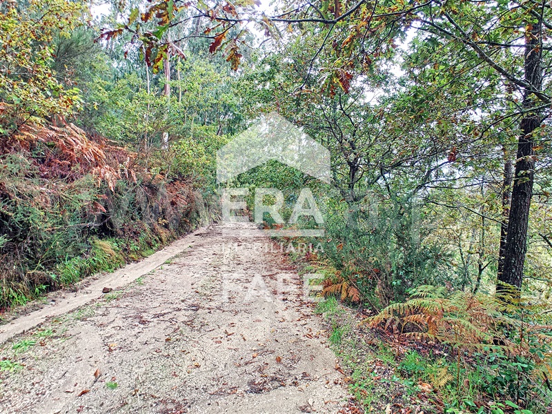 Terreno Rústico  Fafe, São Gens - 1284507 - 2