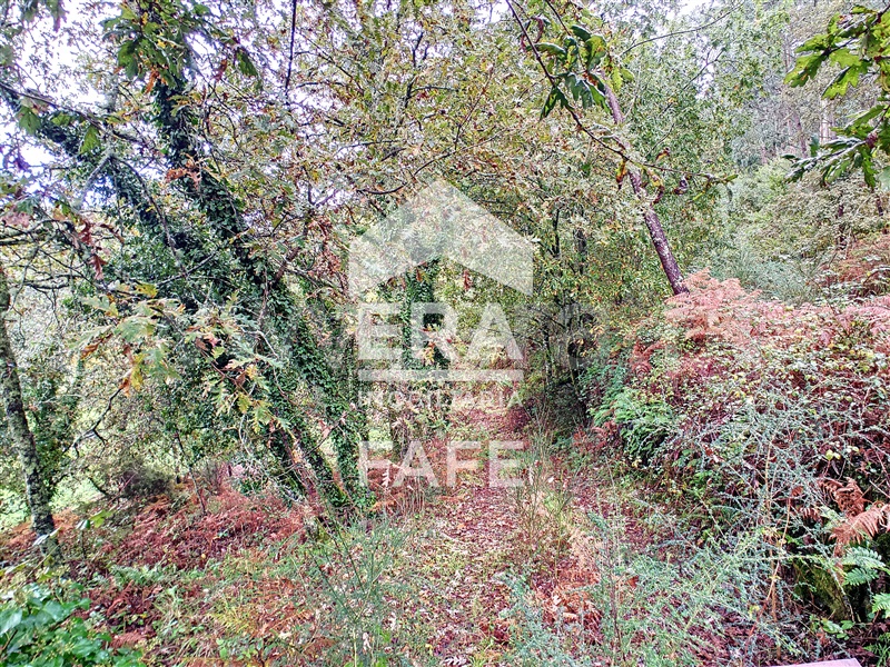 Terreno Rústico  Fafe, São Gens - 1284507 - 3