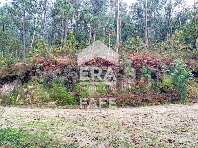 Terreno Rústico  Fafe, São Gens - 1284507 - 4