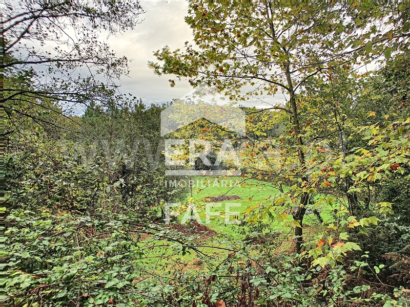 Terreno Rústico  Fafe, São Gens - 1284507 - 5