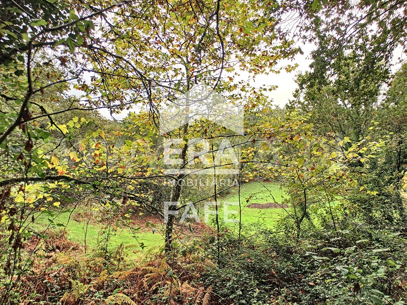 Terreno Rústico  Fafe, São Gens - 1284507 - 7