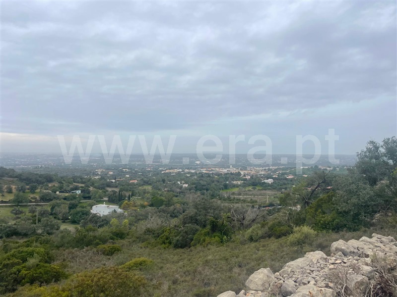 Terreno Rústico / Faro, Charneca