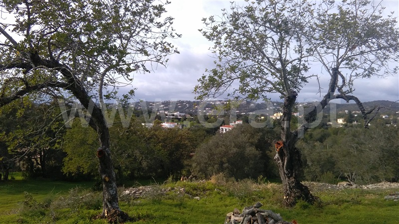 Terreno Rústico / Faro, Conceição e Estoi