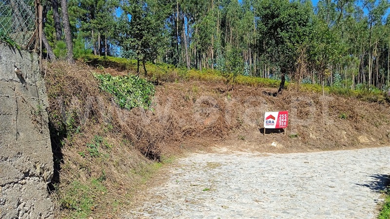 Terreno Rústico  Felgueiras, Macieira da Lixa e Caramos - 1356899 - 3
