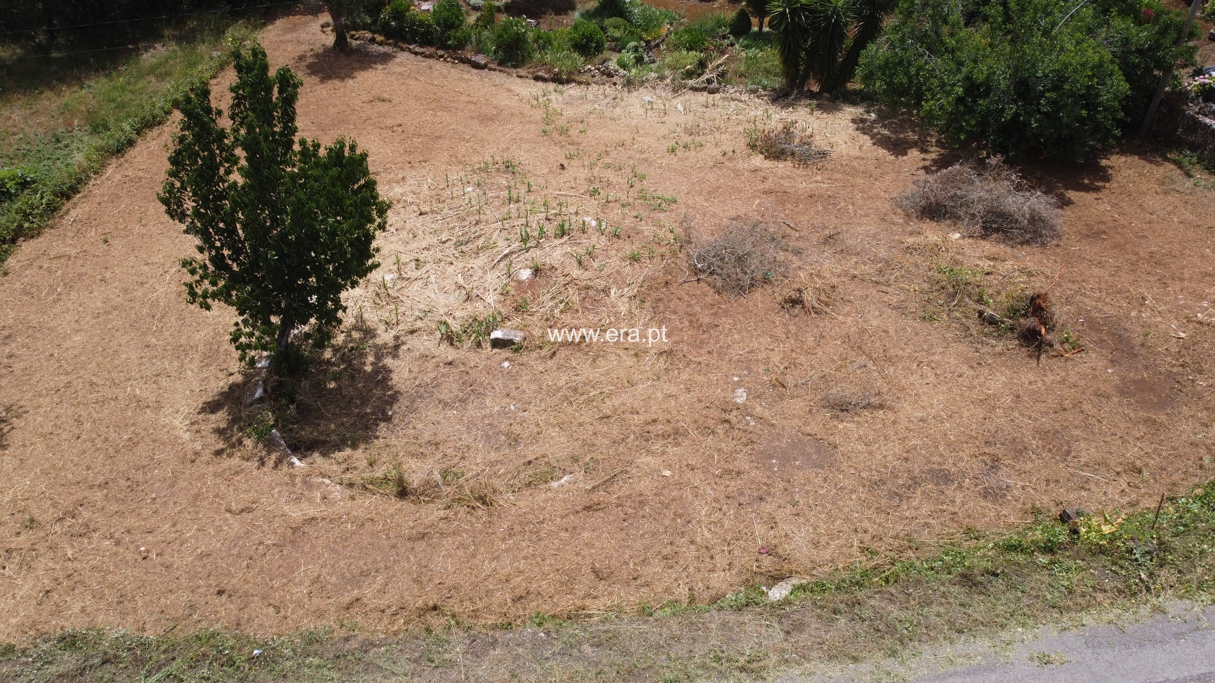 Terreno Rústico / Ferreira do Zêzere, Areias e Pias