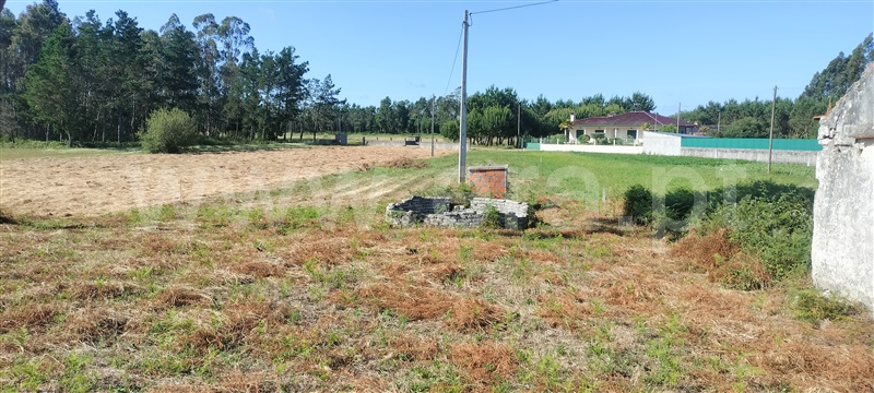 Terreno Rústico / Figueira da Foz, Castanheiro