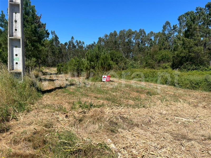 Lote  Figueira da Foz, Lavos - 1487199 - 3