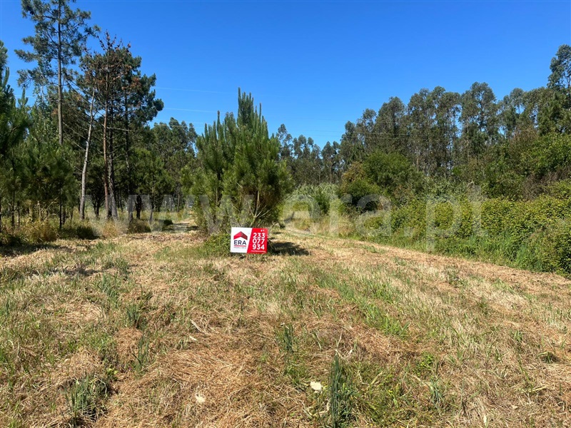 Lote  Figueira da Foz, Lavos - 1487199 - 4