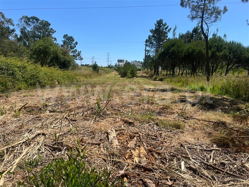 Lote  Figueira da Foz, Lavos - 1487199 - 5