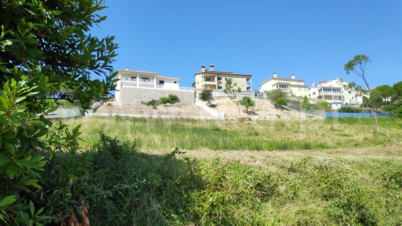 Terreno Rústico / Figueira da Foz, Maiorca