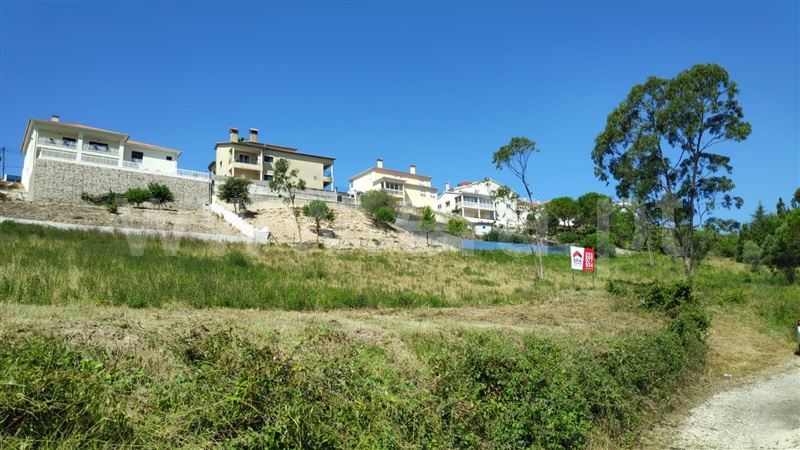 Terreno Rústico / Figueira da Foz, Maiorca
