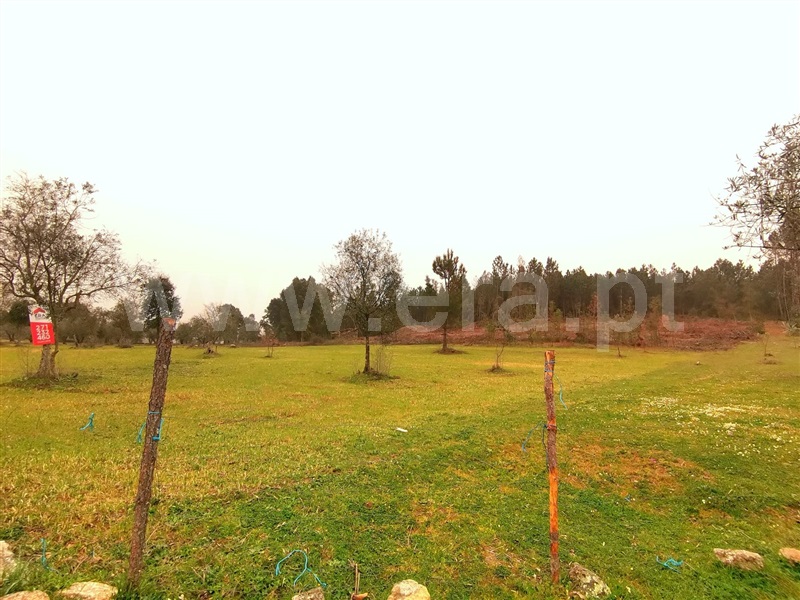 Terreno Rústico  Fornos de Algodres, Figueiró da Granja - 1205226 - 2