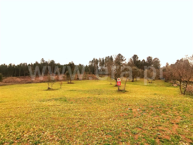 Terreno Rústico / Fornos de Algodres, Figueiró da Granja