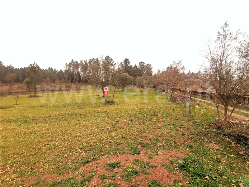 Terreno Rústico  Fornos de Algodres, Figueiró da Granja - 1205226 - 4