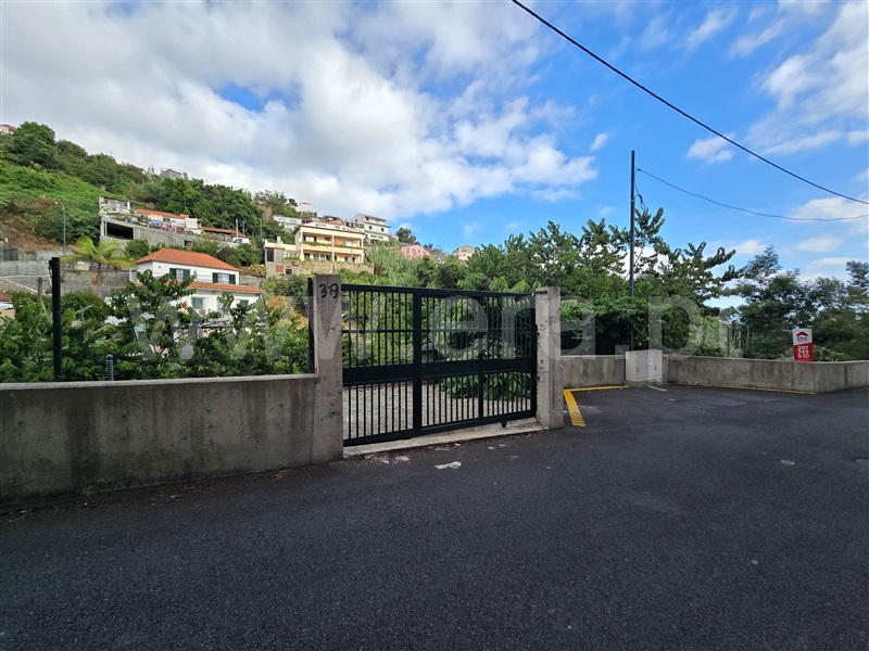 Terreno Rústico  Funchal, Santo António - 1513832 - 3