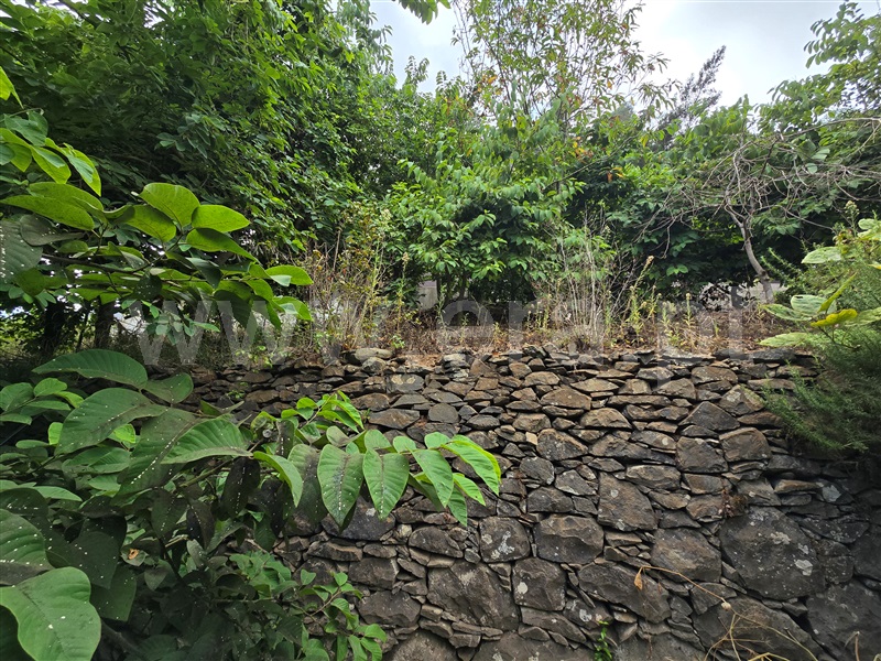 Terreno Rústico  Funchal, Santo António - 1513832 - 7