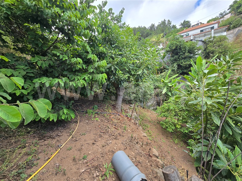 Terreno Rústico  Funchal, Santo António - 1513832 - 8