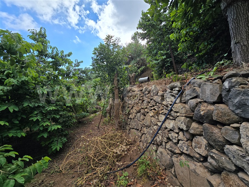 Terreno Rústico  Funchal, Santo António - 1513832 - 10
