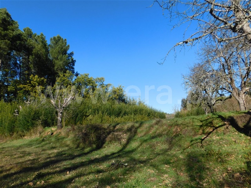 Terreno Rústico  com Agrícola Fundão, Alcaide - 1226937 - 3
