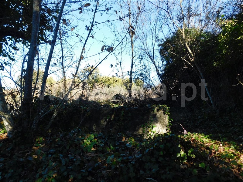 Terreno Rústico  com Agrícola Fundão, Alcaide - 1226937 - 6
