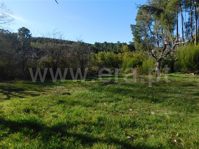 Terreno Rústico  com Agrícola Fundão, Alcaide - 1226937 - 7
