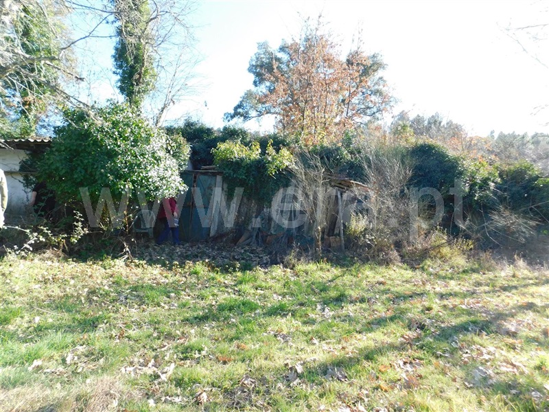 Terreno Rústico  com Agrícola Fundão, Alcaide - 1226937 - 9