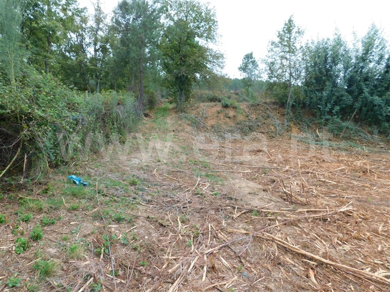 Quintinha  Fundão, Alcaide - 1356193 - 8